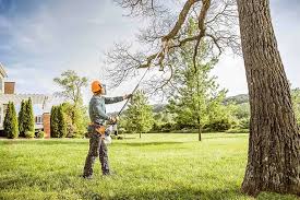 Best Tree and Shrub Care  in Calumet, PA